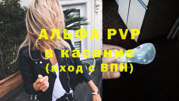кокс Лабытнанги