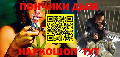 сатива Бийск