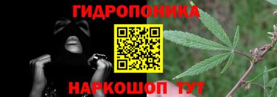 сатива Бийск