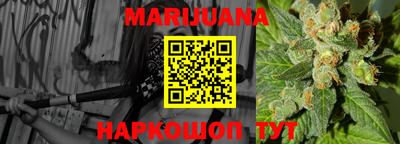 индика Беслан