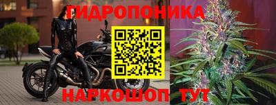 стафф Краснокаменск
