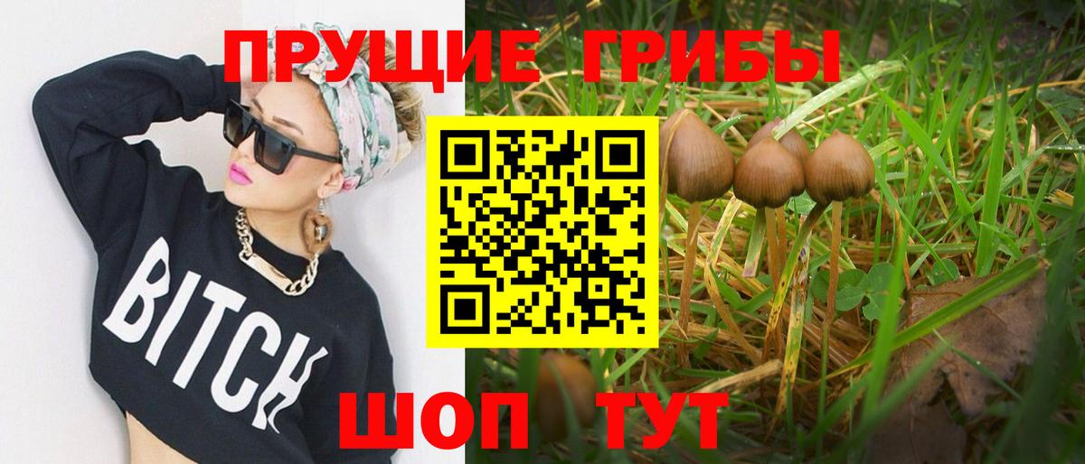 Псилоцибиновые грибы Magic Shrooms  Вход с VPN  Псилоцибиновые грибы Psilocybine cubensis  Шахты 