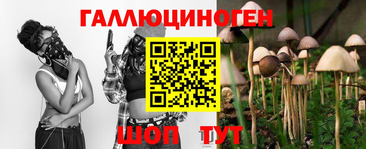 Псилоцибиновые грибы прущие грибы Шахты