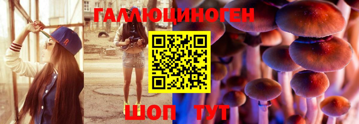 ГАШИШ Шахты
