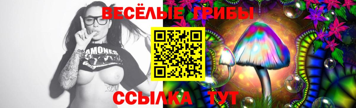 Галлюциногенные грибы ЛСД  Псилоцибиновые грибы MAGIC MUSHROOMS  Шахты 